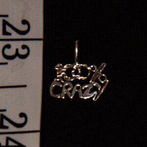 Sterling Silver "100% Crazy" Charm